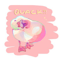 Duck Sketch