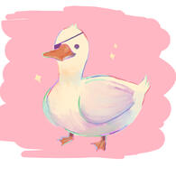 Duck Sketch the 1st